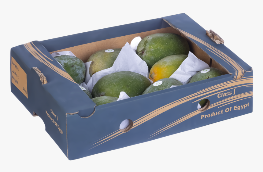 Avocado, HD Png Download