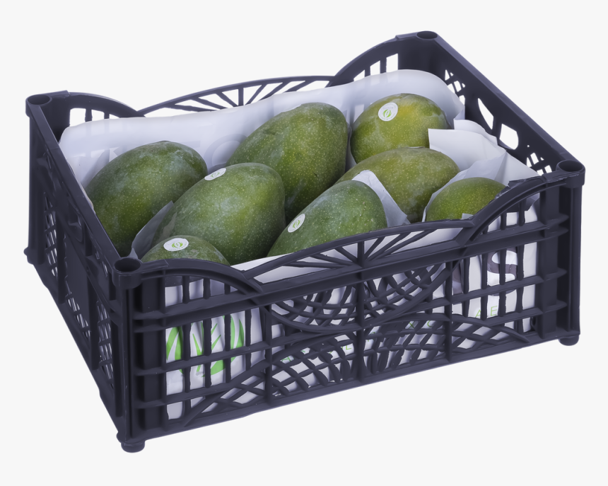 Avocado, HD Png Download