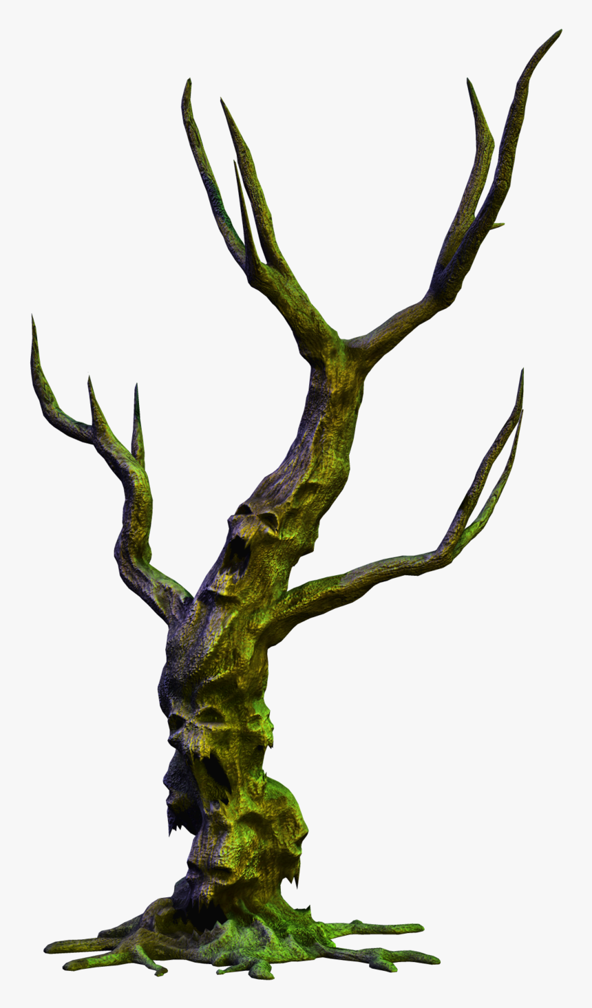 Old Tree Png, Transparent Png