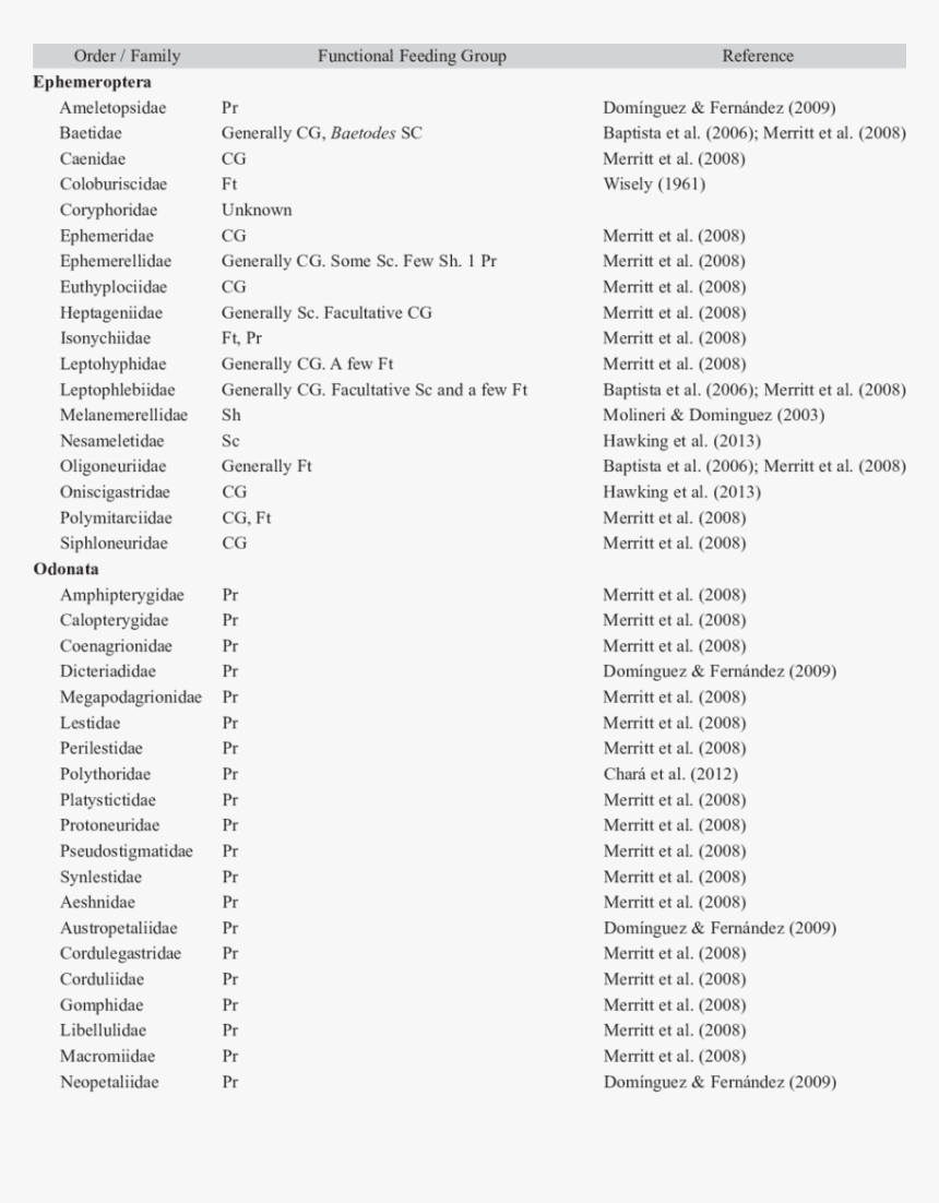 Functional Feeding Groups List, HD Png Download