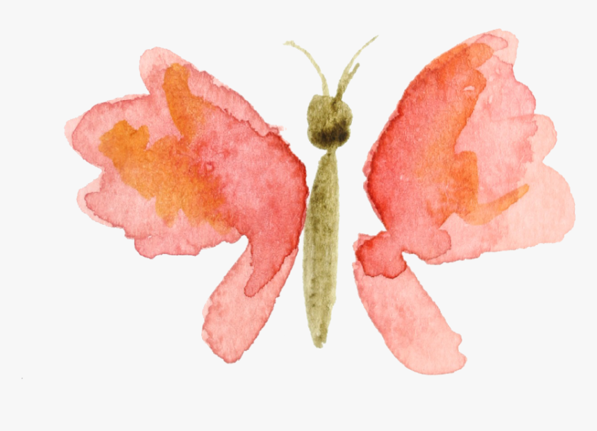 Rosy Maple Moth - Watercolor Butterfly Painting Png, Transparent Png