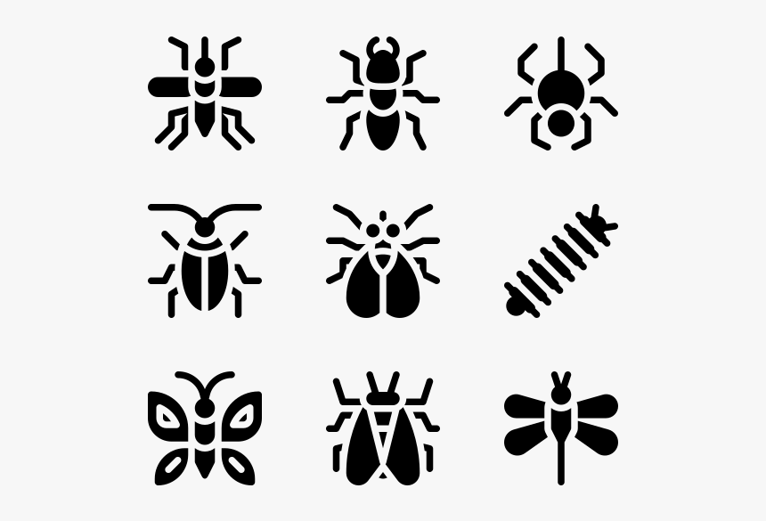 Insects - Insect, HD Png Download