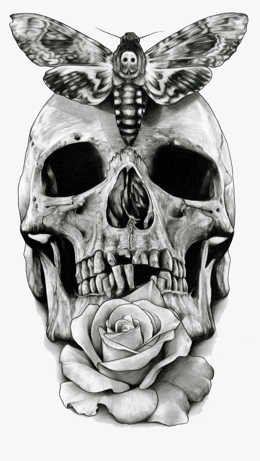 Black And White Hawk Skull, HD Png Download