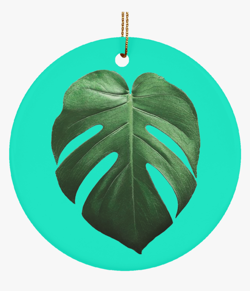 Tropical Leaf Png, Transparent Png