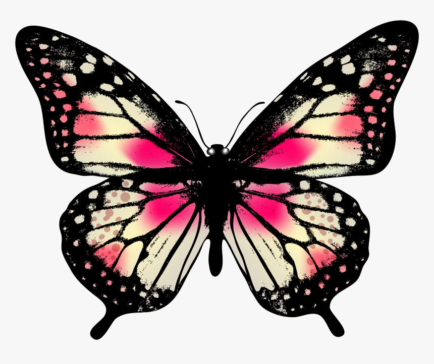 Clipart Gallery Butterfly Caterpillar - Butterfly Png, Transparent Png