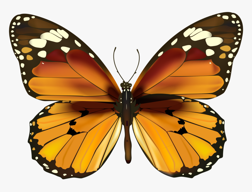 Happy New Year Butterfly, HD Png Download