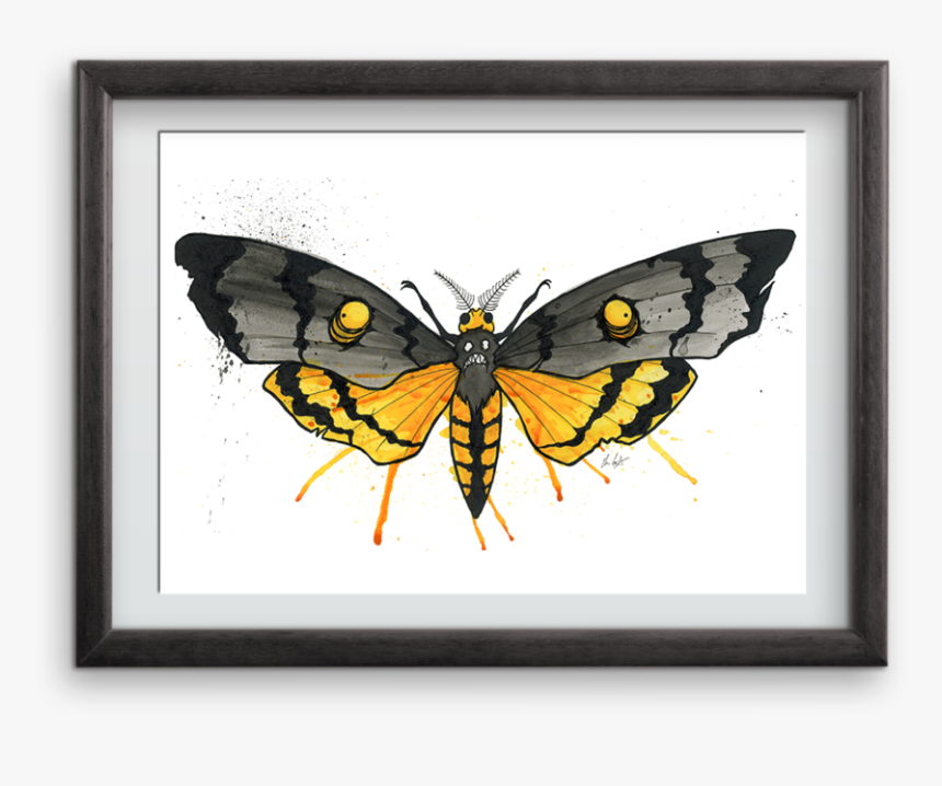Goth Moth Art Print - Picture Frame, HD Png Download