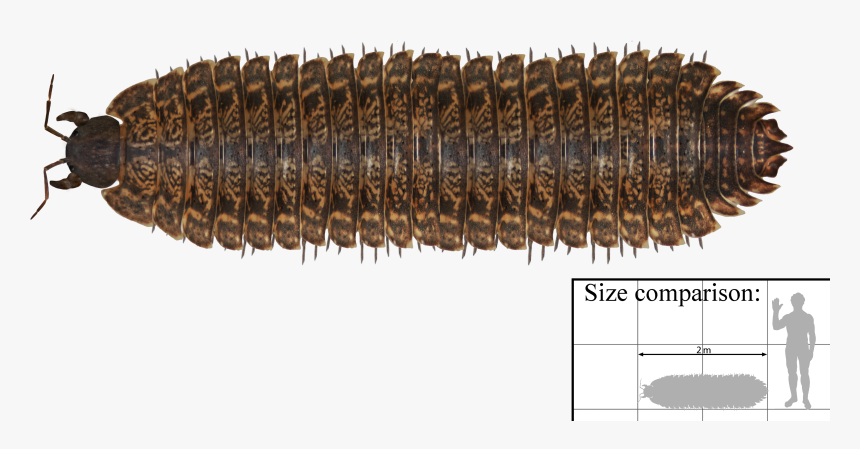 File - Arthropleura - Carboniferous Millipede, HD Png Download