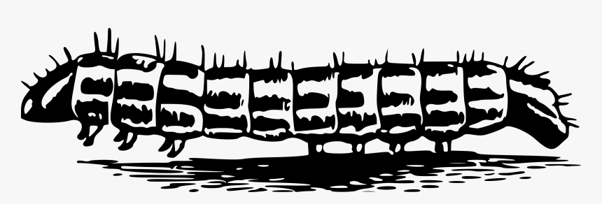 Caterpillar 5 Clip Arts Desenho De Uma Lagarta Hd Png Download Transparent Png Image Pngitem