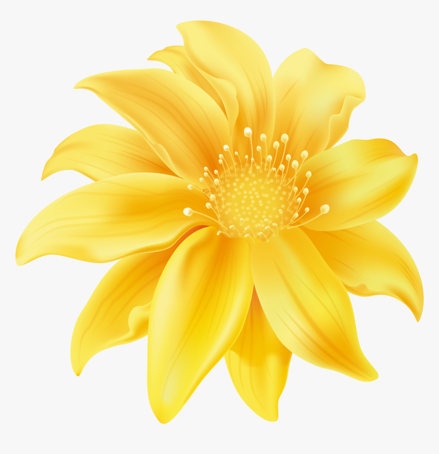 Yellow Flower Png Clip Art Flor Em Png Sem Fundo Transparent Png Transparent Png Image Pngitem