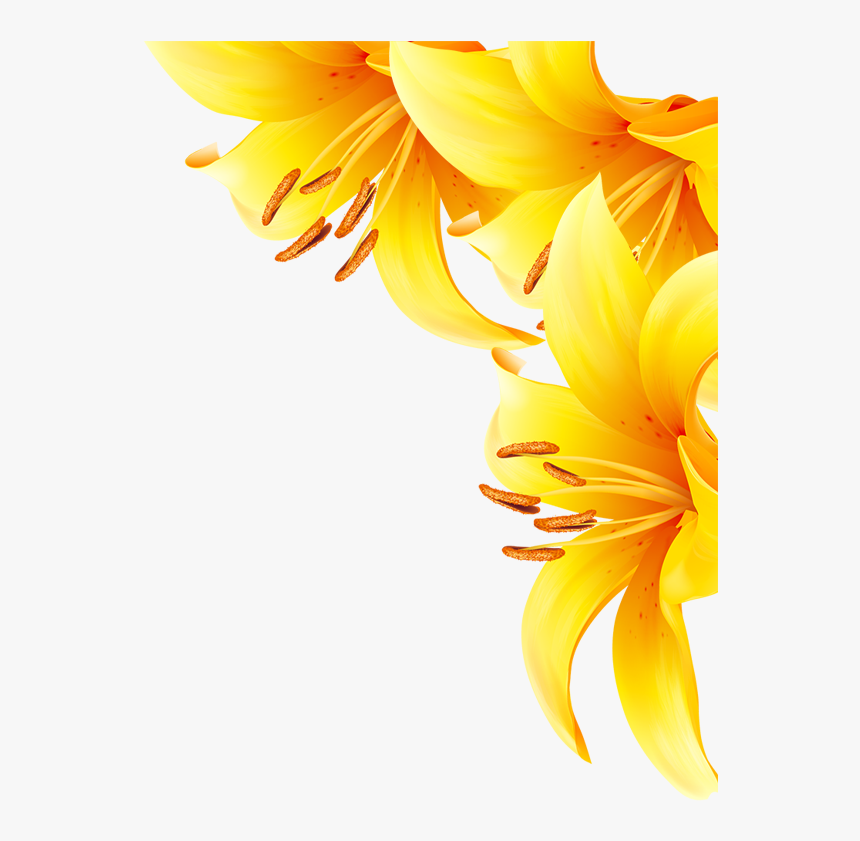 Common Sunflower Yellow - Sunflower, HD Png Download