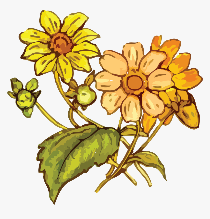 Transparent Wildflowers Png - Yellow Flower Drawing Png, Png Download