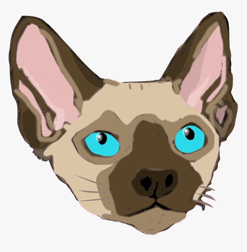 Sphynx Cat, HD Png Download