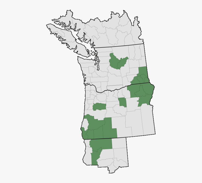 Pacific Northwest, HD Png Download