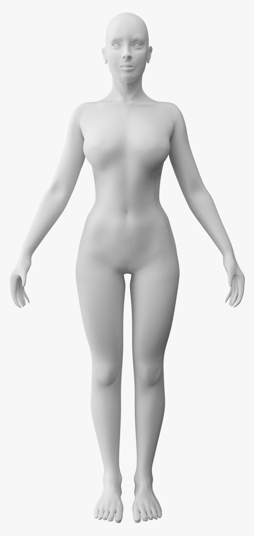 201802 Human Female Anim - Standing, HD Png Download