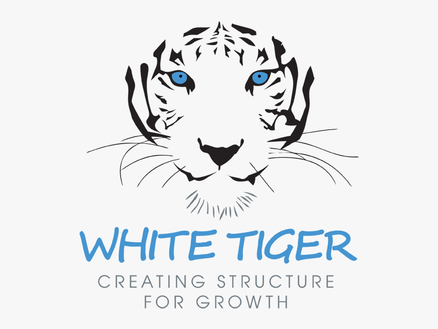 White Tiger - Christmas White Tiger, HD Png Download