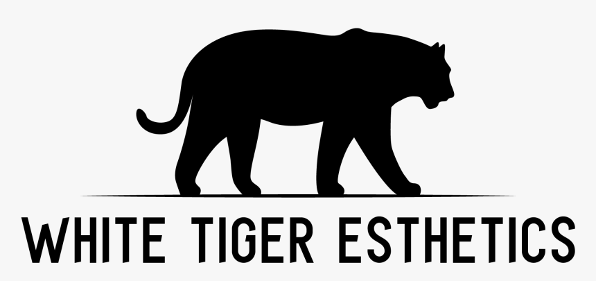 Qualtrics - Masai Lion, HD Png Download