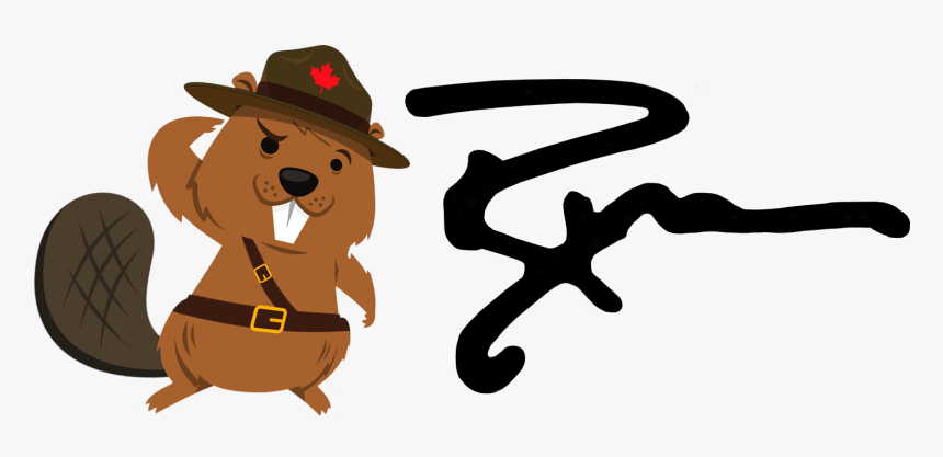 A Canadian Living In America Trying To Make Sense Of - Canadian Bear Cartoon Png, Transparent Png