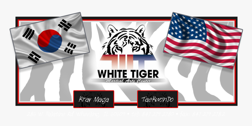 Www - Wtmac - Com - - White Tiger, Hd Png Download - White Tiger, Transparent Png