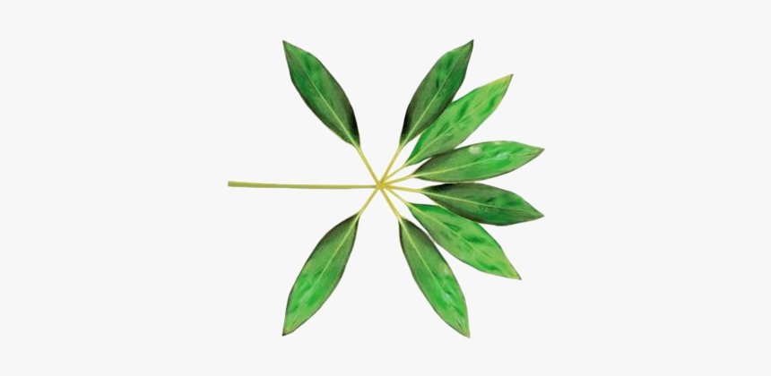 Exo Koko Bop Logo, HD Png Download