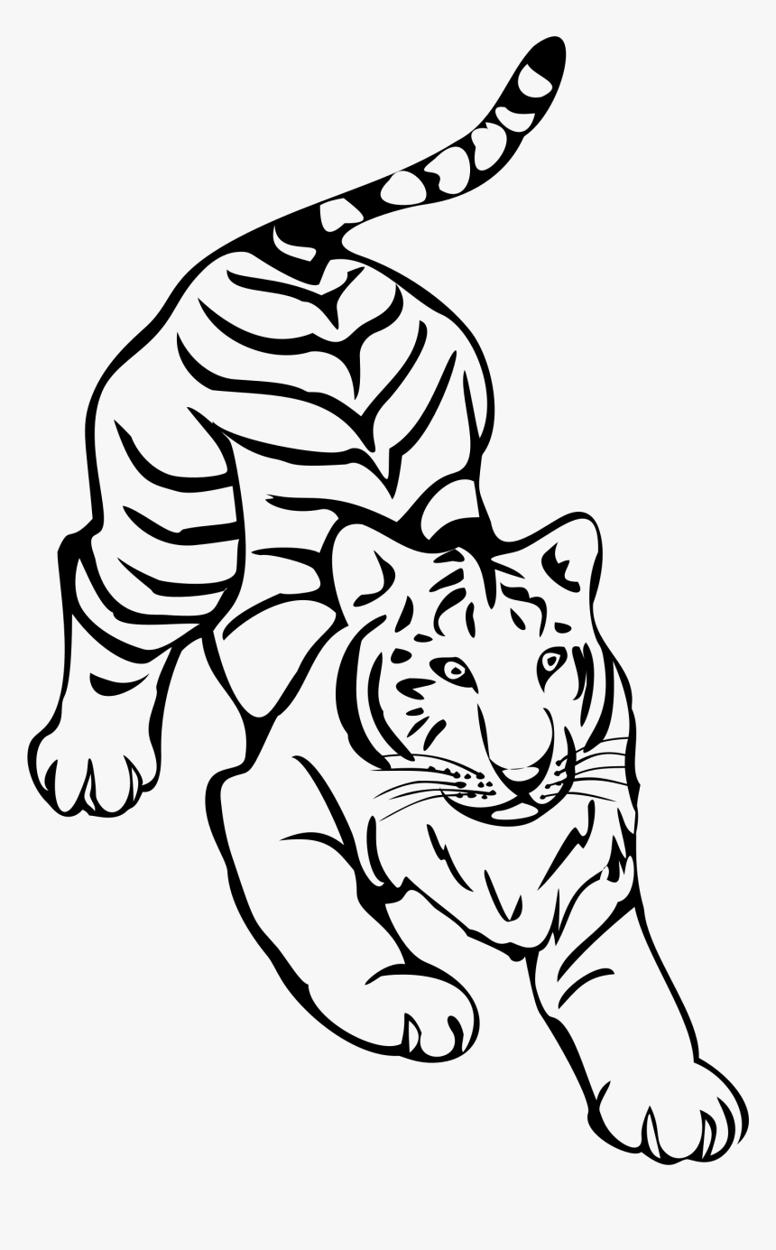 Tiger Line Art By Naobim Clip Arts - Tiger Line Art Png, Transparent Png