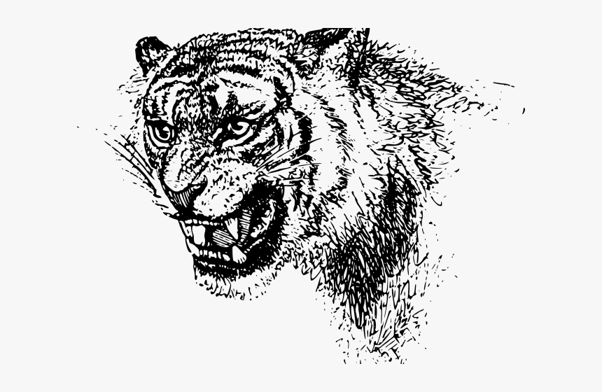 Transparent Tiger Clipart - Black Clip Art Tiger Free, HD Png Download