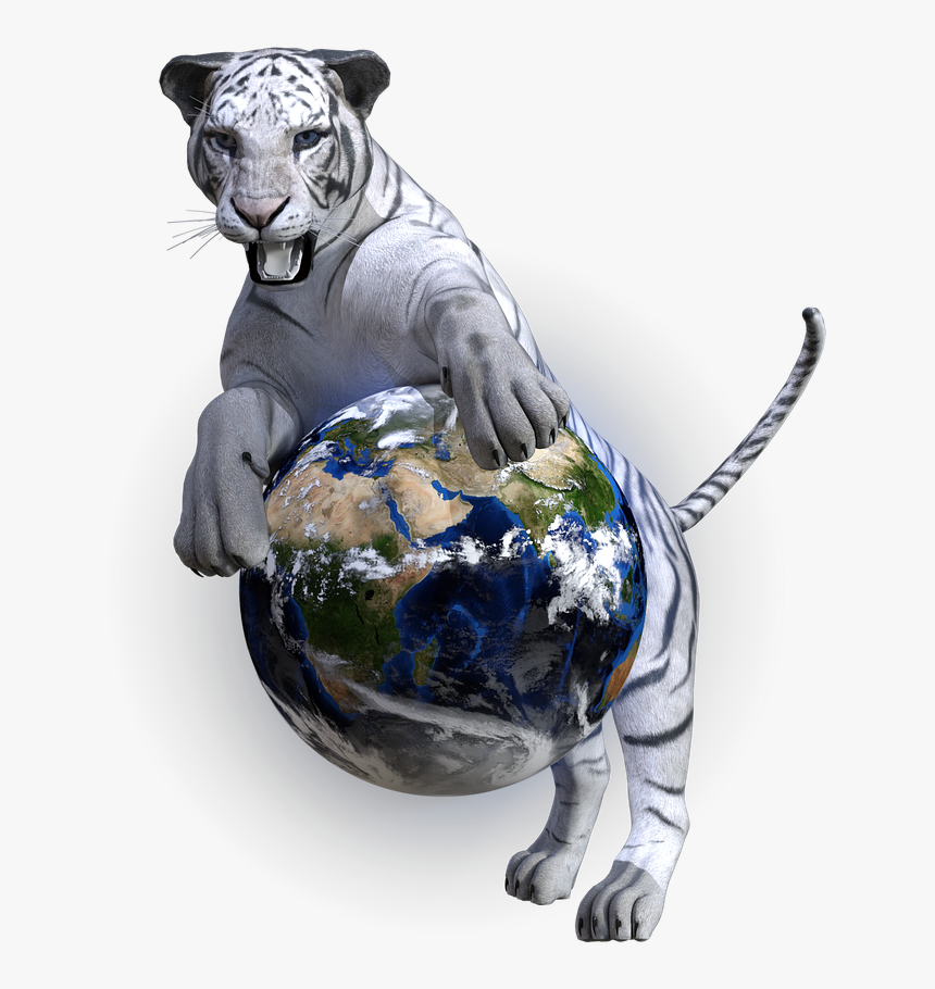 Save Tiger Hindi Slogan, HD Png Download