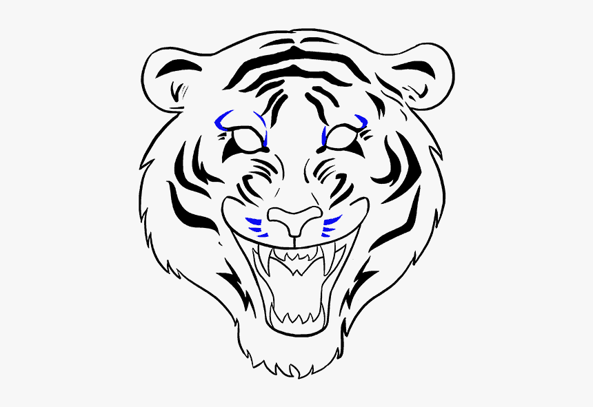 How To Draw A - Tiger To Draw Easy, HD Png Download