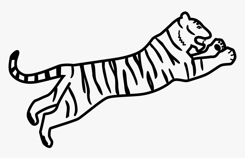 Art,monochrome Photography,carnivoran - Bengal Tiger Drawing Easy, HD Png Download