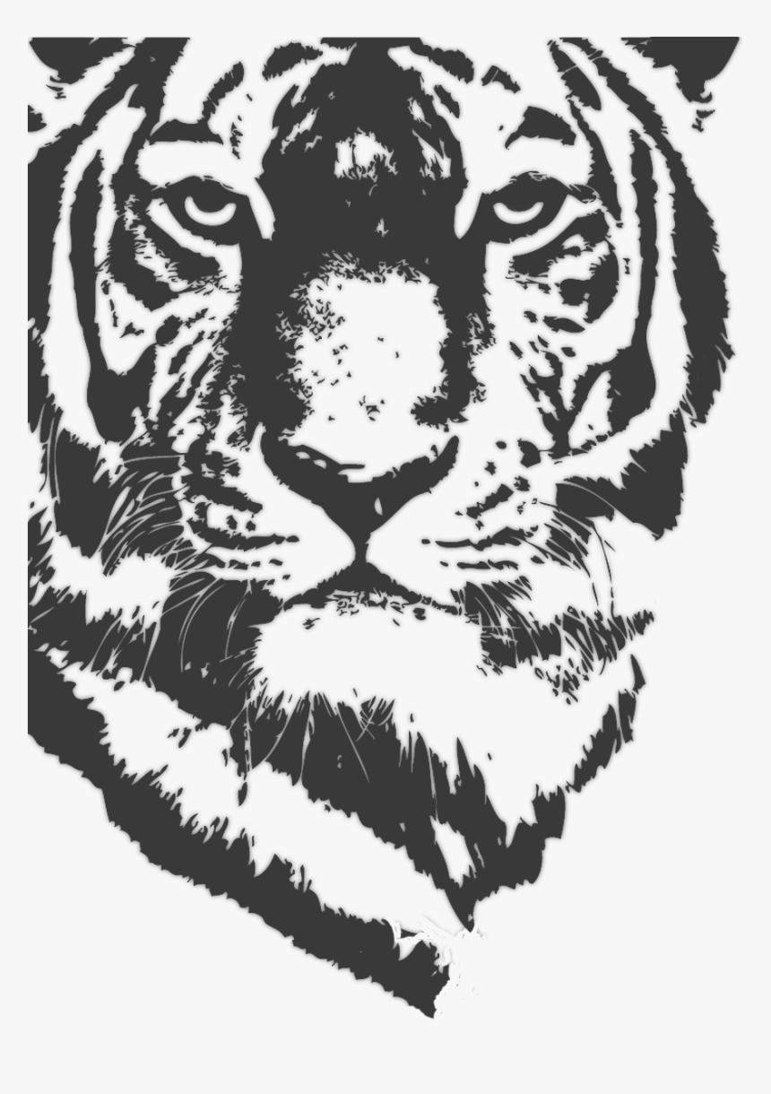 Siberian Tiger, HD Png Download