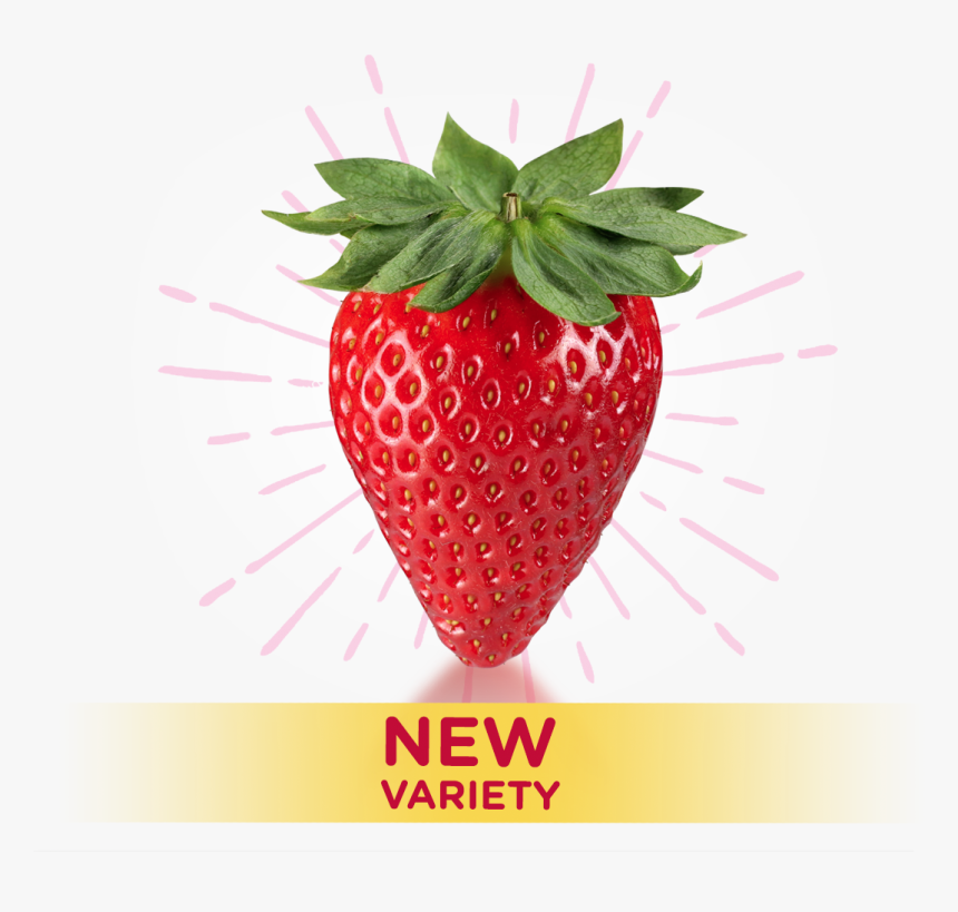 Transparent Fresas Png - Strawberry, Png Download