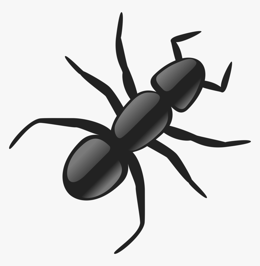 19343 - Ant Clip Art, HD Png Download