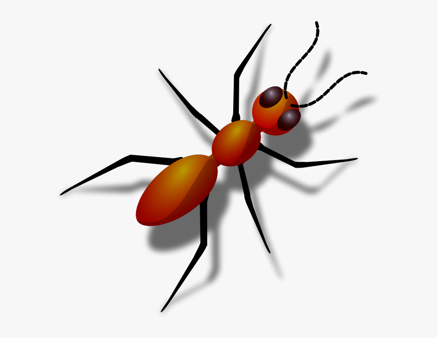 Ant Png Clip Arts - Transparent Background Ant Clipart, Png Download