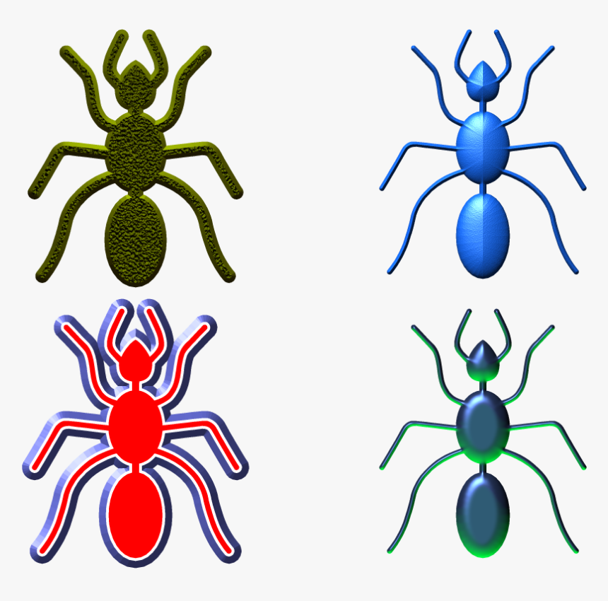 Insect, HD Png Download