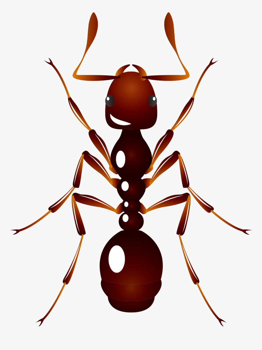 Ant U6606u866b U8682u8681 Insect - Ant, HD Png Download