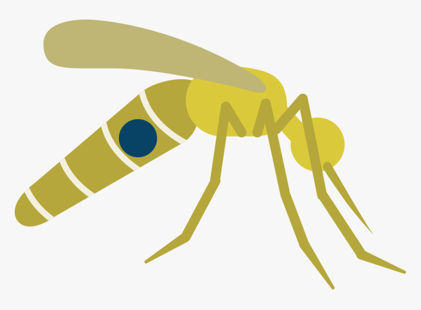 Fly Png Image - Clip Art, Transparent Png
