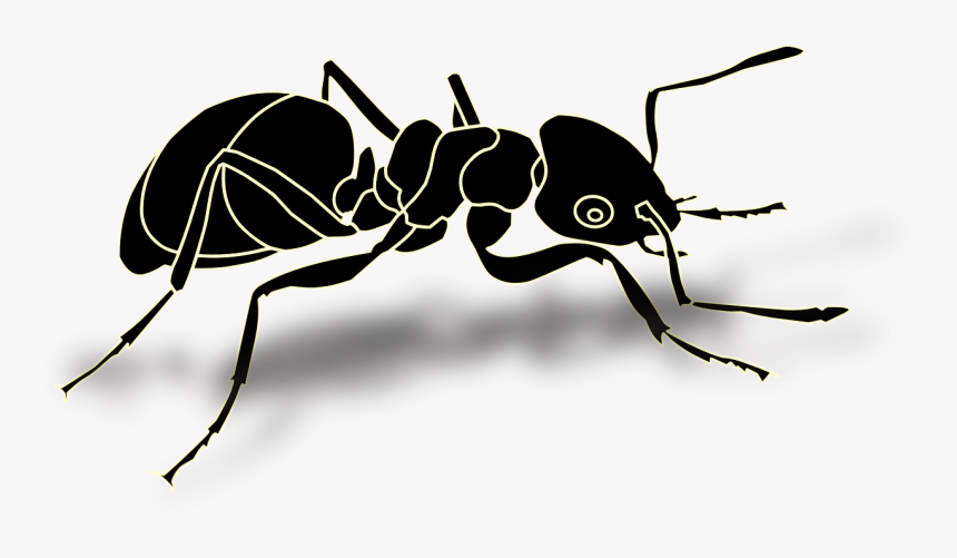 Fourmis Clipart, HD Png Download