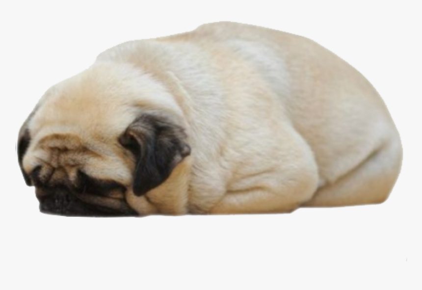 Loaf Of Bread Puppy, HD Png Download