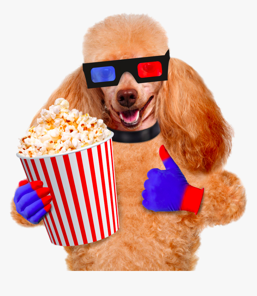 Cinema Photography Pug Dog Popcorn Film Stock Clipart - Eten Van Een Hond, HD Png Download