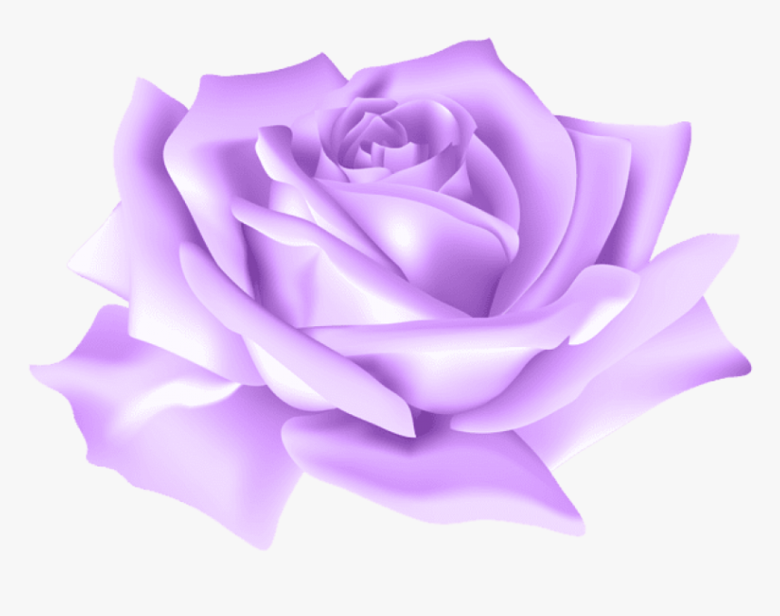 Purple Rose Png - Transparent Background Blue Rose Png, Png Download
