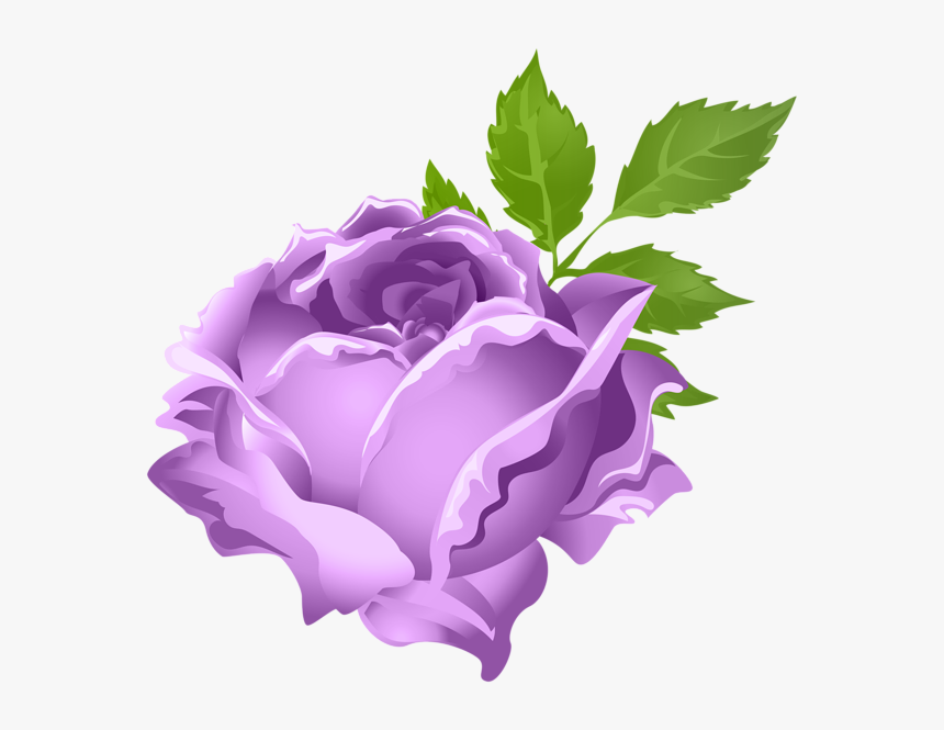 Transparent Rose Clipart - Png Clipart Flower Png Orange, Png Download