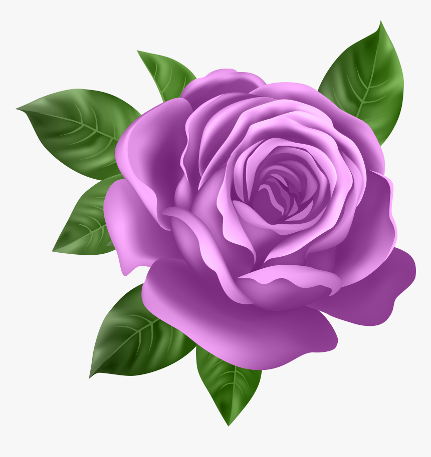 Purple Rose Transparent Png Clip Art, Png Download
