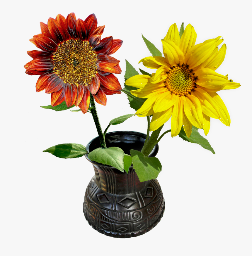 Gefällt Mir Guten Morgen, HD Png Download