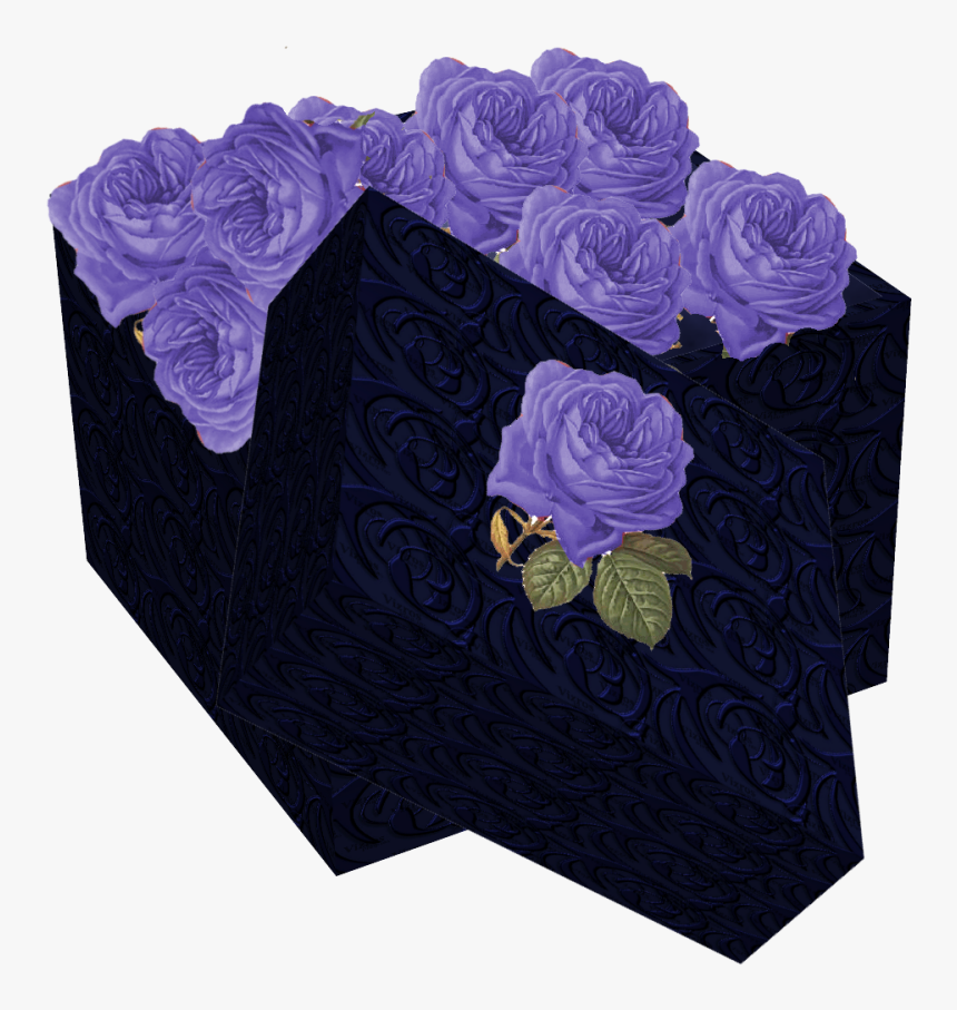 Box Wit Purple Rose - Garden Roses, HD Png Download