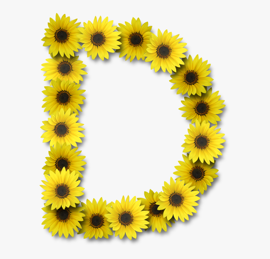 Letter D With Sunflowers, HD Png Download