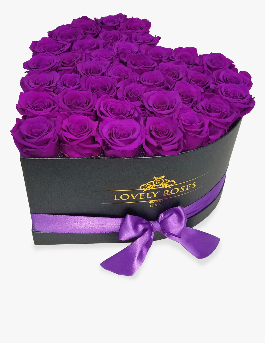 Garden Roses, HD Png Download