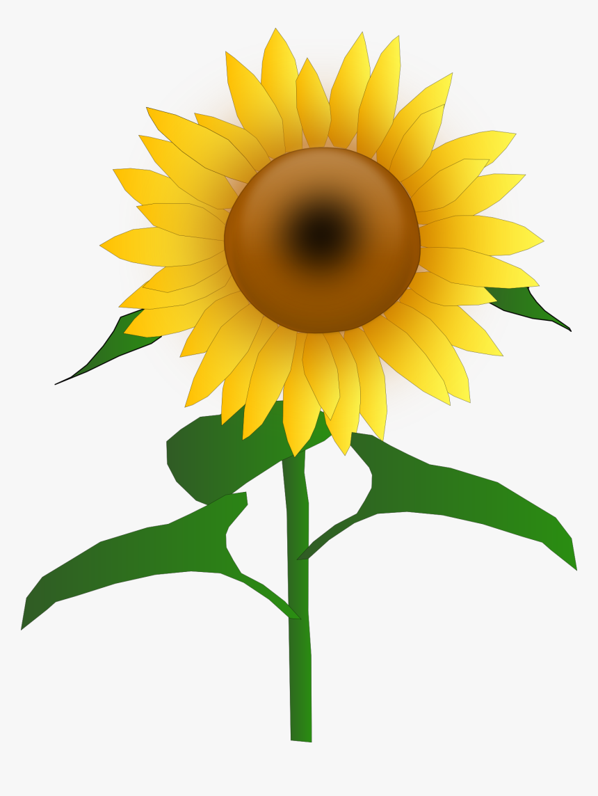 Sunflower Free To Use Png - Sunflower Clipart, Transparent Png