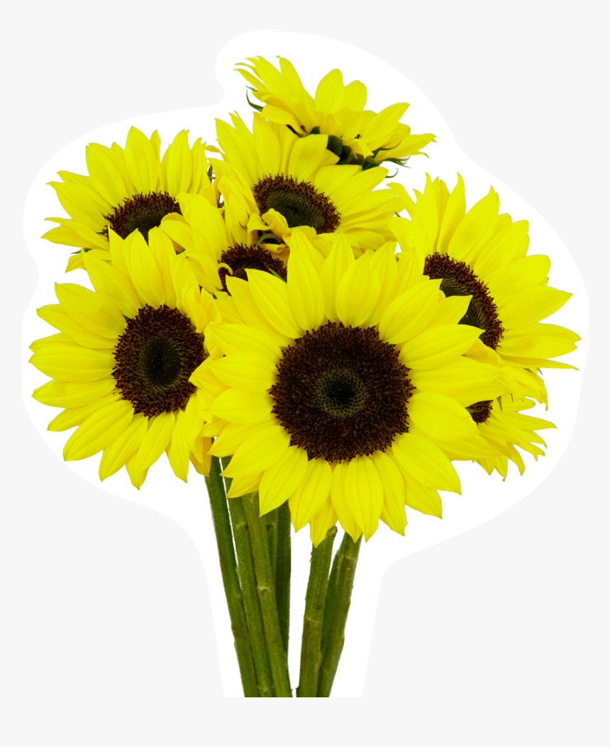 Free Measure And Quote, HD Png Download