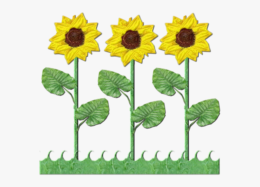 Flowers Row Of Sunflowers - Sun Flower Tree Clipart, HD Png Download