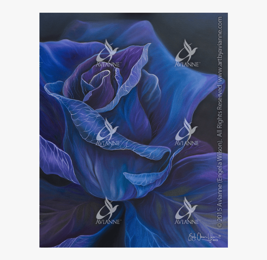 Blue Rose, HD Png Download